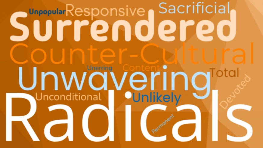 Radicals Title Slide.jpg