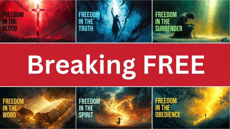 Freedom In Surrender episode artwork