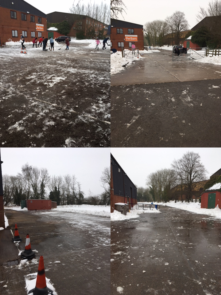 March4Collage.jpg